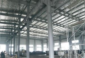 厂家东莞 承接跨度大【10米~80米】钢结构厂房【可带10吨行车梁